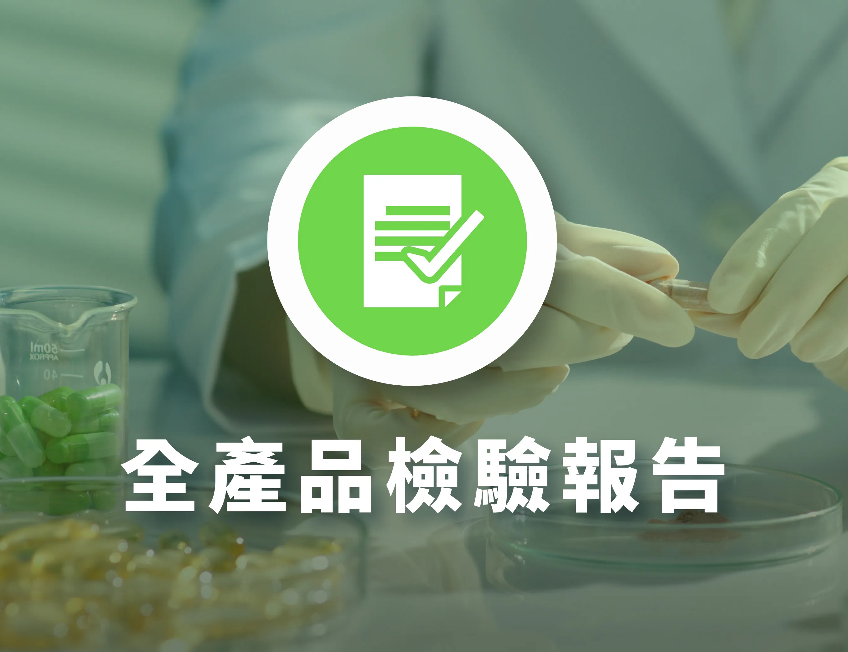 2026 台灣男人必修課：PTT 鄉民熱議的「硬度與耐力」終極配置，揭秘印度雙效錠與日本藤素的實戰奇蹟